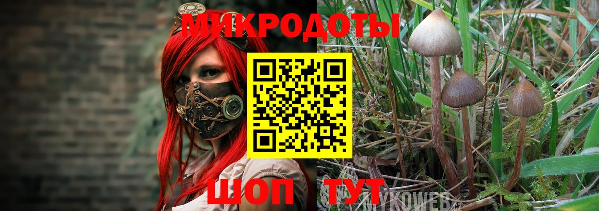 Галлюциногенные грибы мухоморы Родники