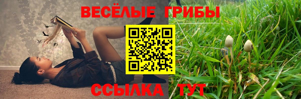 Родники  Галлюциногенные грибы Psilocybine cubensis  Вход с VPN 